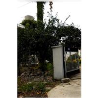 طراحی و محوطه سازی ویلا شمال  7