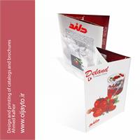 طراحی_کاتالوگ_طراحی_بروشور_دولت_چیدمان_کاتالوگ 2