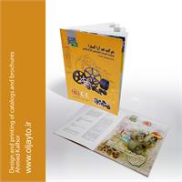 طراحی_کاتالوگ_طراحی_بروشور_دولت_چیدمان_کاتالوگ 26